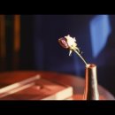 서울콜렉터