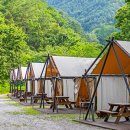 지금관광농원 이미지