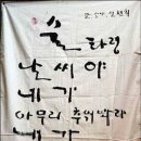주태백 Daum카페
