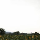 하동못안마을 이미지