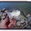 함안(정곡)다녀왔습니다. 이미지