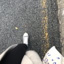 베비에르대인점 | 광주여행 1박2일 ] 카페52, 무등분식, 카페 웨어하우스, 애상마라탕, 베비에르