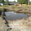 수연목장 이미지