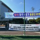 태비 태권도 이미지