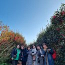 제주베라카투어 | 제주도 렌트카 기사포함 제주 원데이 투어 이용 후기