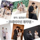광주, 포에버마인스튜디오 애견동반 촬영 후기(내돈내산 라붐홀패키지)