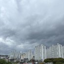 슬도주차장화장실 | [울산 데이트] 9,10월 핫플 슬도 댑싸리&amp;팜파스