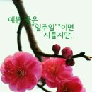 프리미엄비즈 이미지