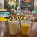 세부 트리쉐이드 공항드랍 슬림팩 솔직후기(+트래픽잼)