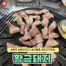 황금돼지 | 광주 첨단2지구 신용동 황금돼지 뒷고기 내돈내산 후기