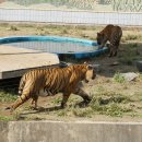 달성공원 이미지