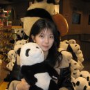 포즈티브 | 캐논 익서스 70 인물 작례 설정 (익시 10)