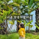 6867 | 세종 정동체험마을 아이랑 두번 다녀온 후기 | 21개월 27개월 아기 체험 비교