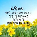 인생사진관 이미지