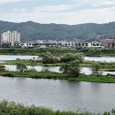 서천공원 Daum카페
