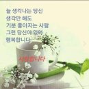 꽃피는하루