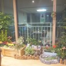 대서플랜트 이미지