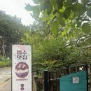 내원정사유치원 | [내 돈 내산] 초록 초록 산중 카페 ”도솔” 카페 후기