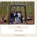 남조로 사려니숲길입구 | 숲속에서 힐링 한 스푼, 제주 사려니숲길 감성 가득 초보자 가이드