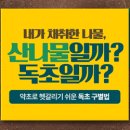 내가 만드는 옷 이야기 이미지