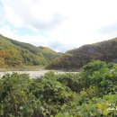 제장농장 이미지