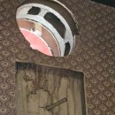 산호동250 이미지