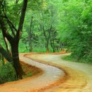 계족산황톳길 이미지