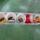 해피주 동물카페 원주점 | 원주아이랑 주말 나들이, 실내에서 다양한 동물 만나고 온 "원주 해피주 동물카페"