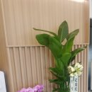 광명역새빛내과의원 이미지