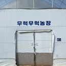경기도 용인 아이와 가볼 만한 곳 : 무럭무럭농장 / 동물 먹이주기 농장 체험후기
