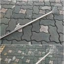 주신기물 이미지