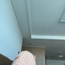 금송빌딩 | 부산 여행 마지막 날 + 제주도 가족 여행 1일 차(금송 덕미 해운대, 나가하마만게츠, 영화의 전당 야외...