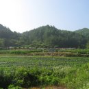 유림농장 이미지