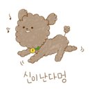 루나 아로마 이미지