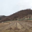 월곡농장 이미지