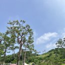 동양카 | 신나게 달리는 강화루지 아이와 함께한 솔직후기ㅣ동양 최대규모 트랙