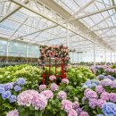 성남둔치 공영주차장(서편) 이미지