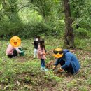 김옥순 농장 이미지