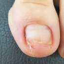 포시뷰티바 이미지