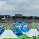 쉬리 | 🏕️ 철원 다슬기축제 &amp; 쉬리캠핑장 2박 3일 리얼 후기! (아이와 함께 가기 좋은 곳)