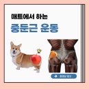 더블업트레이닝 이미지