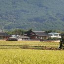 하죽 이미지