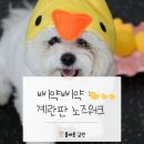 올바른 참견 이미지