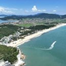 완도1호 이미지