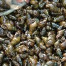 요천다슬기마을 이미지