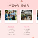해맑은농장 | 경남 주말농장 베스트 3