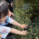 🐟 꼬맹이들과 떠나는 신비한 바다 탐험! 부산 해양사 자연사 박물관 방문기 🐠