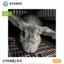 GD동물병원 이미지