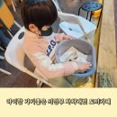 차차래빗 | 의정부 아이랑 가기좋은곳 동물먹이주기 실내체험 차차래빗 토끼카페