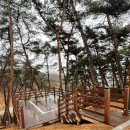 남원 교룡공원 숲속야영장 데크C10 쏠캠 후기 전북 신상 캠핑장